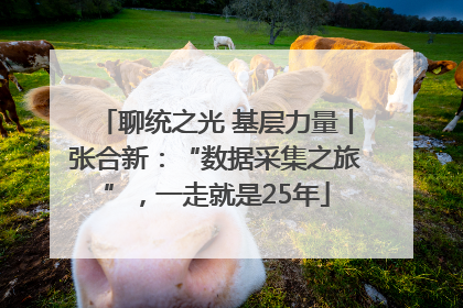 聊统之光 基层力量丨张合新：“数据采集之旅”，一走就是25年