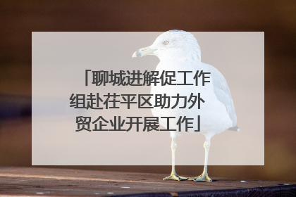 聊城进解促工作组赴茌平区助力外贸企业开展工作