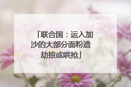 联合国：运入加沙的大部分面粉遭劫掠或哄抢