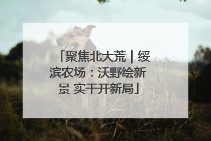 聚焦北大荒｜绥滨农场：沃野绘新景 实干开新局
