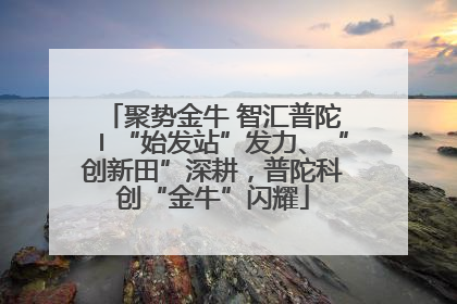聚势金牛 智汇普陀〡“始发站”发力、“创新田”深耕，普陀科创“金牛”闪耀