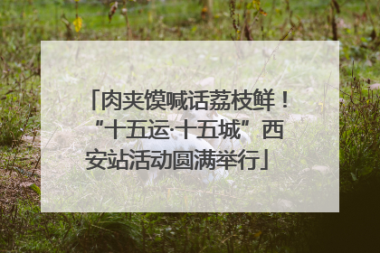 肉夹馍喊话荔枝鲜！“十五运·十五城”西安站活动圆满举行