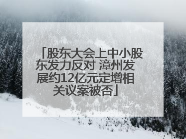 股东大会上中小股东发力反对 漳州发展约12亿元定增相关议案被否