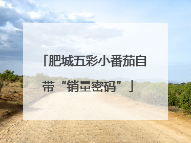 肥城五彩小番茄自带“销量密码”