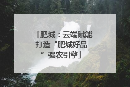 肥城：云端赋能 打造“肥城好品”强农引擎