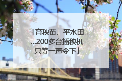 育秧苗、平水田……200多台插秧机只等一声令下