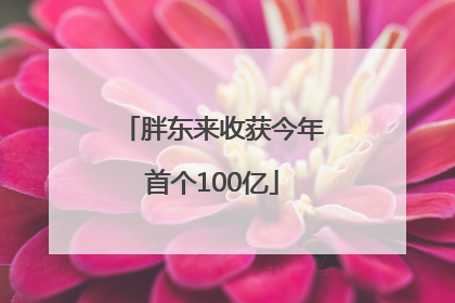 胖东来收获今年首个100亿