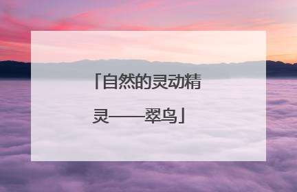 自然的灵动精灵——翠鸟