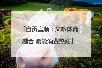 自贡富顺：文旅体商融合 赋能消费热潮