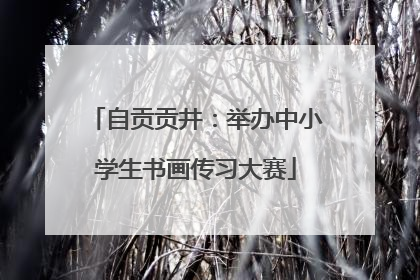 自贡贡井：举办中小学生书画传习大赛
