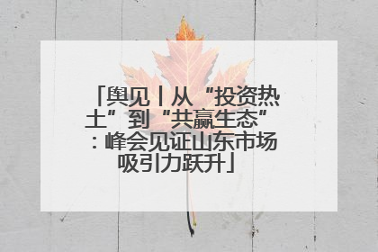 舆见丨从“投资热土”到“共赢生态”：峰会见证山东市场吸引力跃升