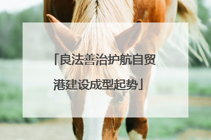 良法善治护航自贸港建设成型起势