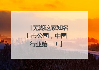 芜湖这家知名上市公司，中国行业第一！