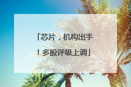 芯片，机构出手！多股评级上调