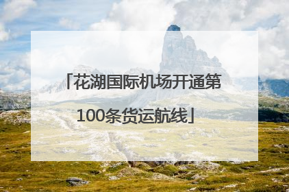 花湖国际机场开通第100条货运航线