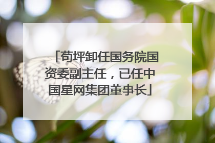 苟坪卸任国务院国资委副主任，已任中国星网集团董事长