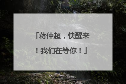 蒋仲超，快醒来！我们在等你！