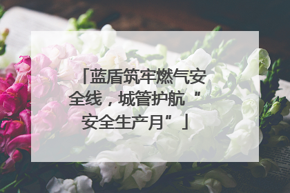 蓝盾筑牢燃气安全线，城管护航“安全生产月”
