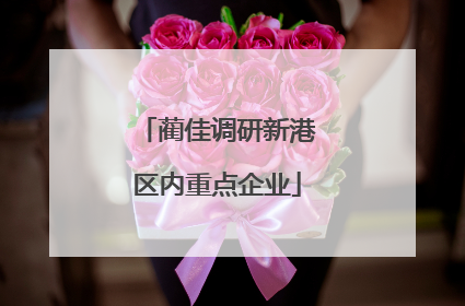 蔺佳调研新港区内重点企业