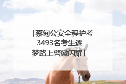蔡甸公安全程护考 3493名考生逐梦路上警徽闪耀