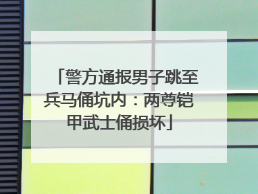 警方通报男子跳至兵马俑坑内：两尊铠甲武士俑损坏