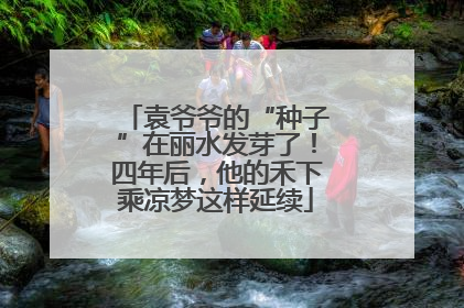 袁爷爷的“种子”在丽水发芽了！四年后，他的禾下乘凉梦这样延续