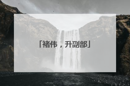 褚伟，升副部