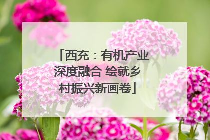 西充：有机产业深度融合 绘就乡村振兴新画卷