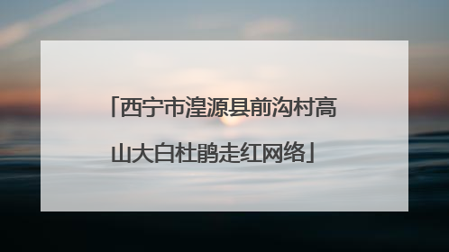 西宁市湟源县前沟村高山大白杜鹃走红网络