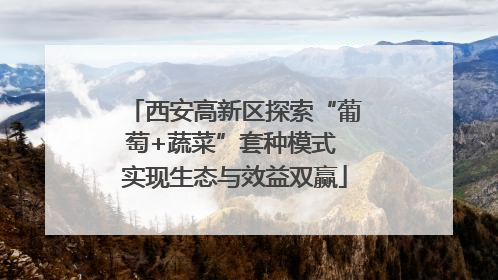 西安高新区探索“葡萄+蔬菜”套种模式 实现生态与效益双赢