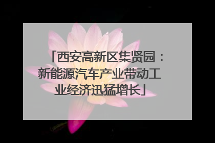 西安高新区集贤园：新能源汽车产业带动工业经济迅猛增长