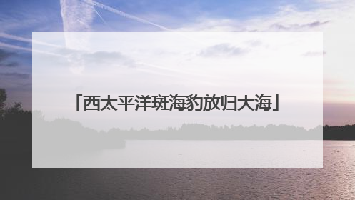 西太平洋斑海豹放归大海