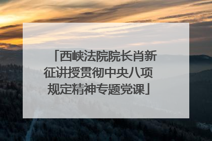 西峡法院院长肖新征讲授贯彻中央八项规定精神专题党课