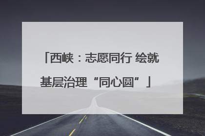 西峡：志愿同行 绘就基层治理“同心圆”