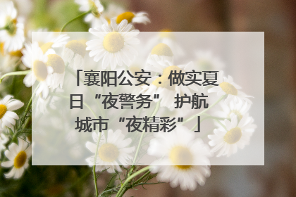 襄阳公安：做实夏日“夜警务” 护航城市“夜精彩”