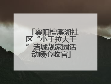 襄阳檀溪湖社区“小手拉大手”洁城靓家园活动暖心收官