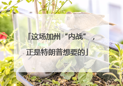 这场加州“内战”，正是特朗普想要的