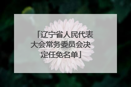 辽宁省人民代表大会常务委员会决定任免名单