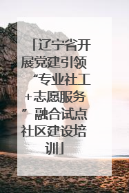 辽宁省开展党建引领“专业社工+志愿服务”融合试点社区建设培训