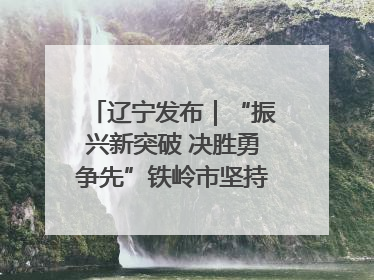 辽宁发布｜“振兴新突破 决胜勇争先”铁岭市坚持“项目为王”推进经济高质量发展