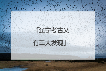 辽宁考古又有重大发现