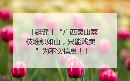 辟谣丨“广西灵山荔枝堆积如山，只能贱卖”为不实信息！