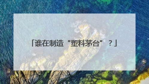 谁在制造“塑料茅台”？