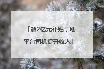 超2亿元补贴，助平台司机提升收入