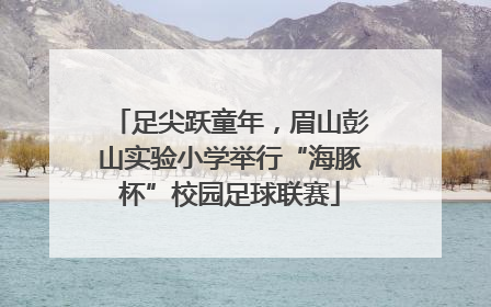 足尖跃童年，眉山彭山实验小学举行“海豚杯”校园足球联赛