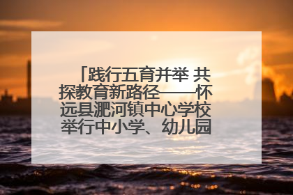 践行五育并举 共探教育新路径——怀远县淝河镇中心学校举行中小学、幼儿园班主任论坛活动