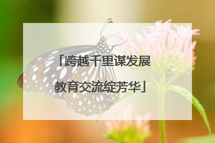 跨越千里谋发展 教育交流绽芳华
