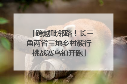 跨越毗邻路！长三角两省三地乡村毅行挑战赛乌镇开跑