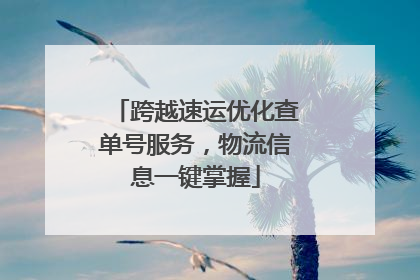 跨越速运优化查单号服务，物流信息一键掌握