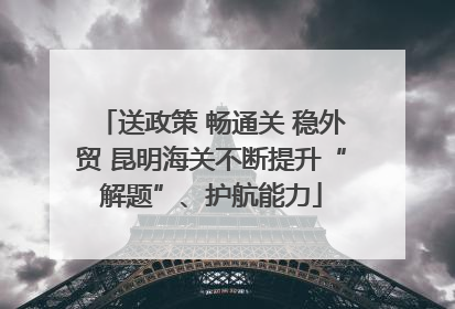 送政策 畅通关 稳外贸 昆明海关不断提升“解题”、护航能力